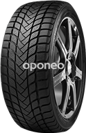 Delinte WD6 245/45 R18 100 V