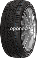 Minerva Frostrack UHP 205/40 R18 86 V XL