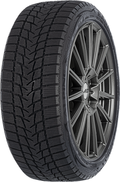 Radar Dimax Alpine 205/55 R16 91 H