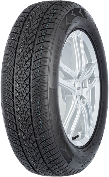 Triangle Winter X TW401 195/55 R20 95 H XL