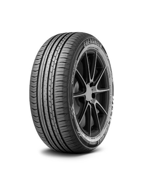Evergreen DynaControl EH226