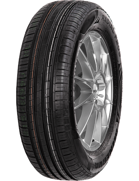 Minerva F209 225/60 R15 96 V