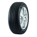 Nærbillede af slidbanen Davanti DX390 205/55 R16 91 V