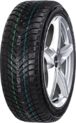 Nærbillede af slidbanen Neolin NeoWinter 205/55 R16 91 V