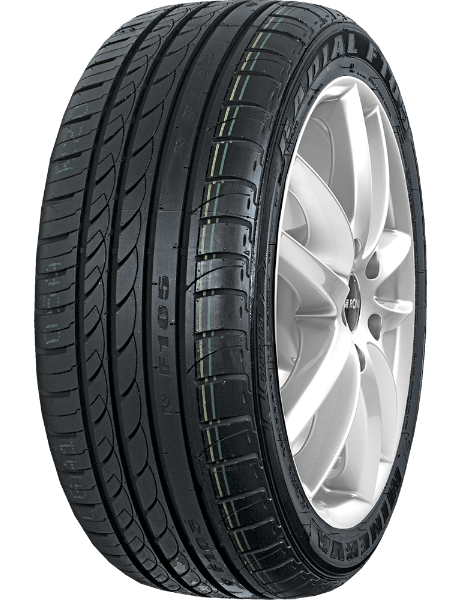 Minerva F105 225/30 R20 85 W XL