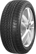 Nærbillede af slidbanen Dunlop SP Winter Sport 4D 275/30 R21 98 W XL, RO1, MFS